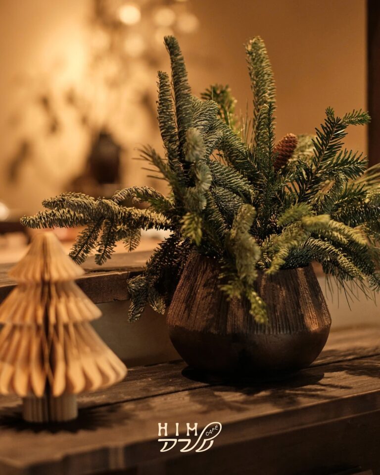 471447423_17875626444231043_2746747839357153061_n